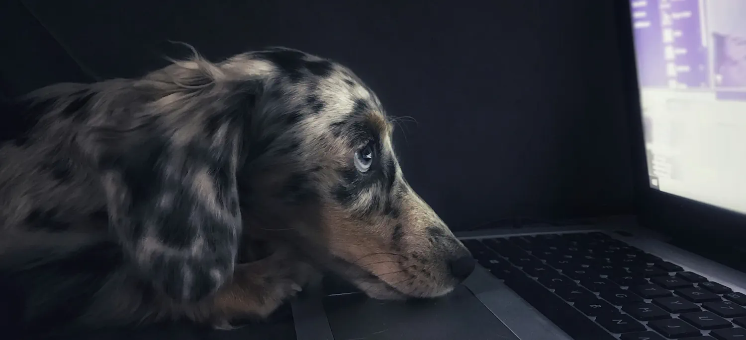 Choosing the Best Google Review Management System for Your Business